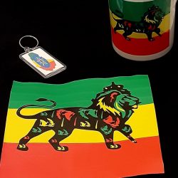 Lion with Ethiopian flag shirt, Mug, Keychain set